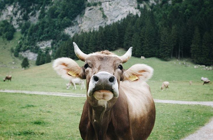 Perturbations de la circulation en septembre