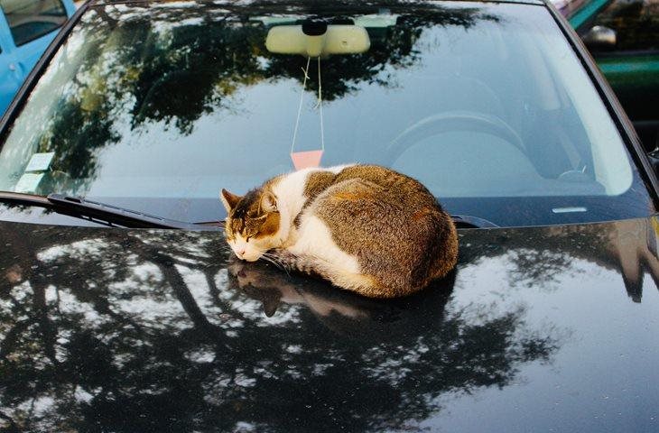 Quand la fatigue s’installe aussi au volant